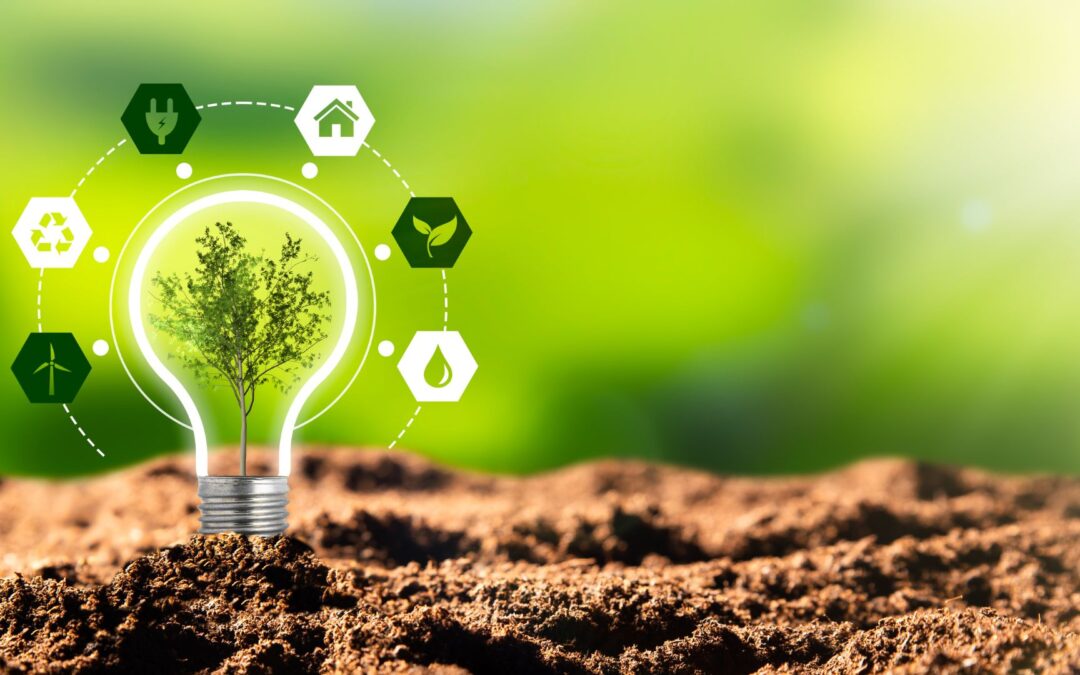 Boosting the bioeconomy