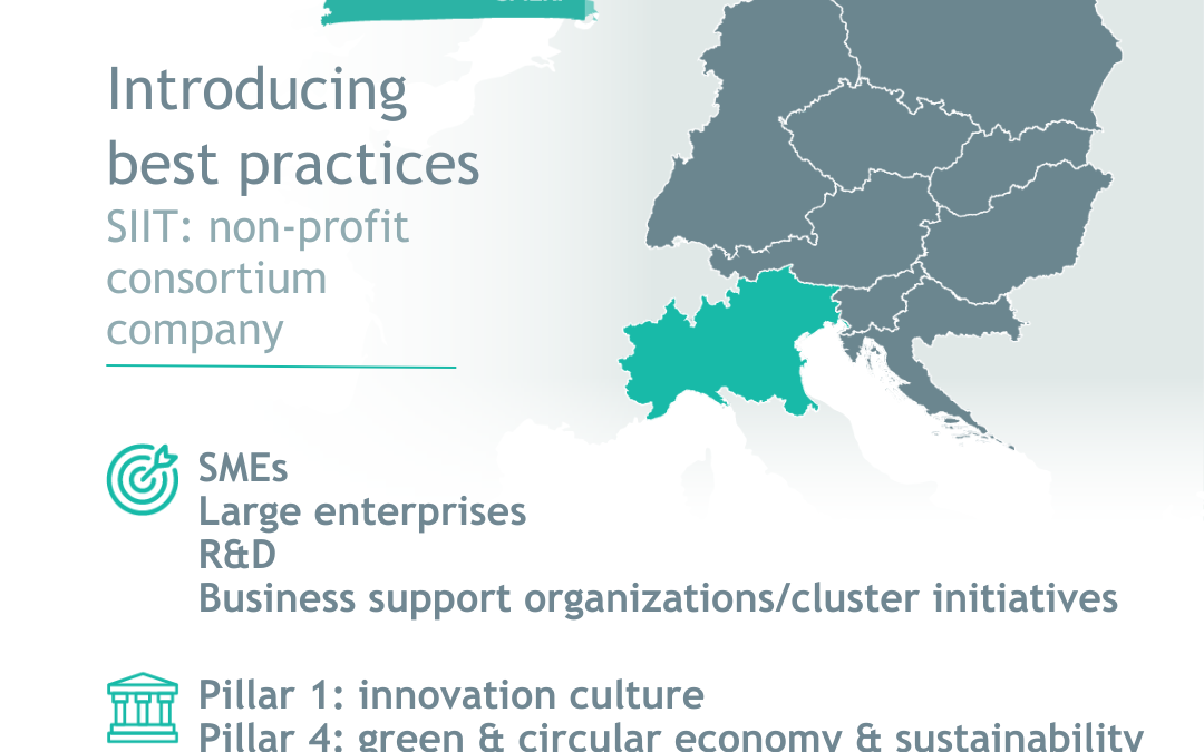 SIIT: non-profit consortium company