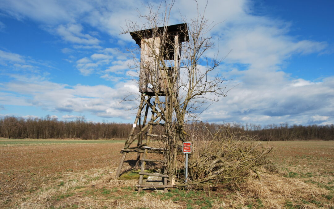 Usage of a shut-in well in Municipality Murska Sobota, Rakičan