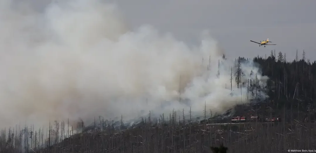 Major wild fire in German Harz Mountains requires air assistance