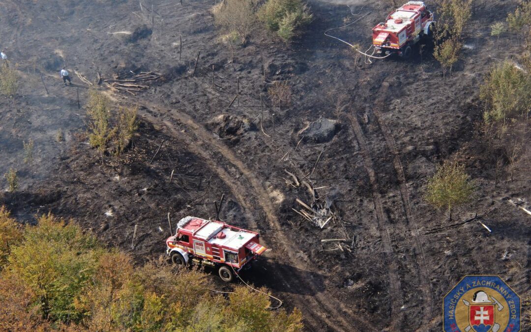 Slovakia experienced several forest fires