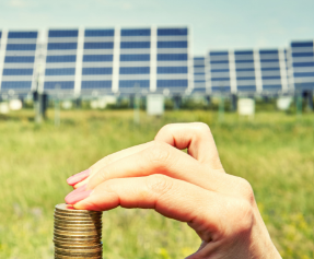 Hand with Coins in front of PV plant