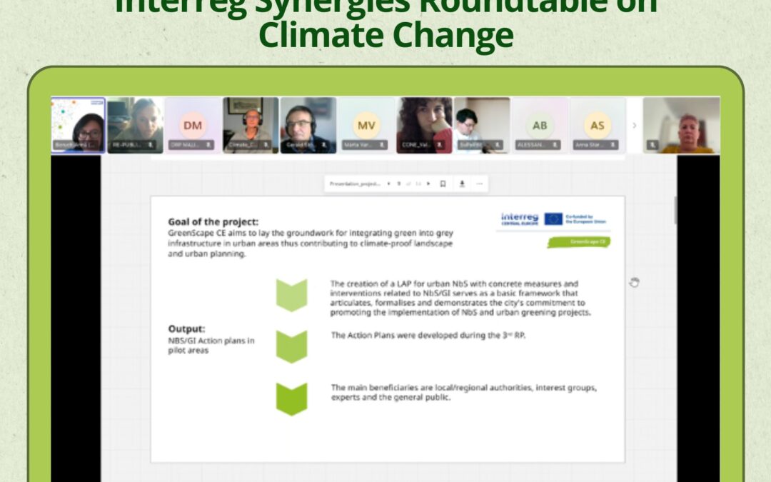 GreenScape CE Highlights Climate Resilience at Synergies Roundtable