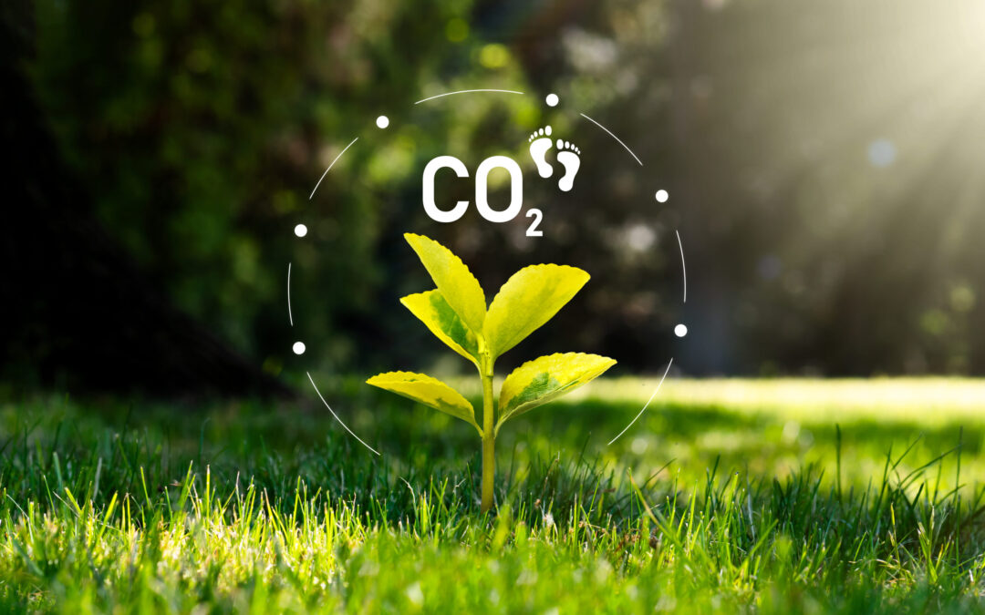 CREDIT4CE Launches Carbon Footprint Calculator to Drive Green Transition