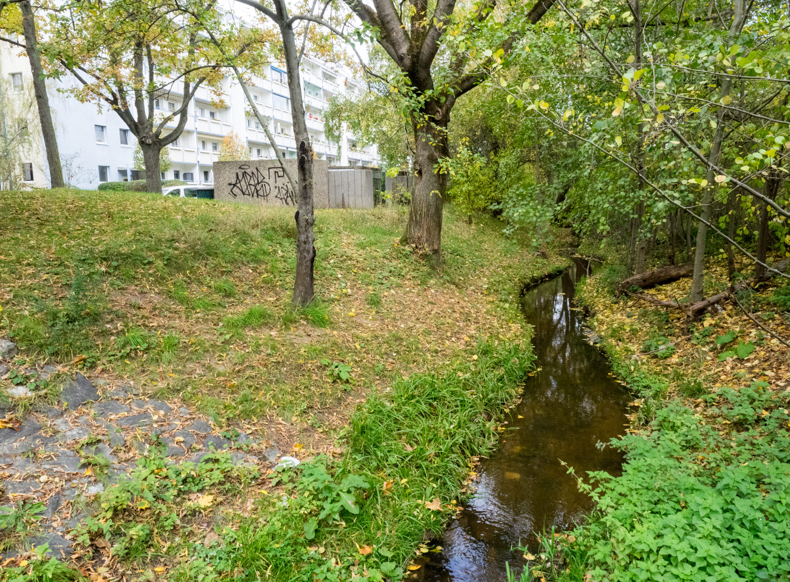 Geberbach in Dresden