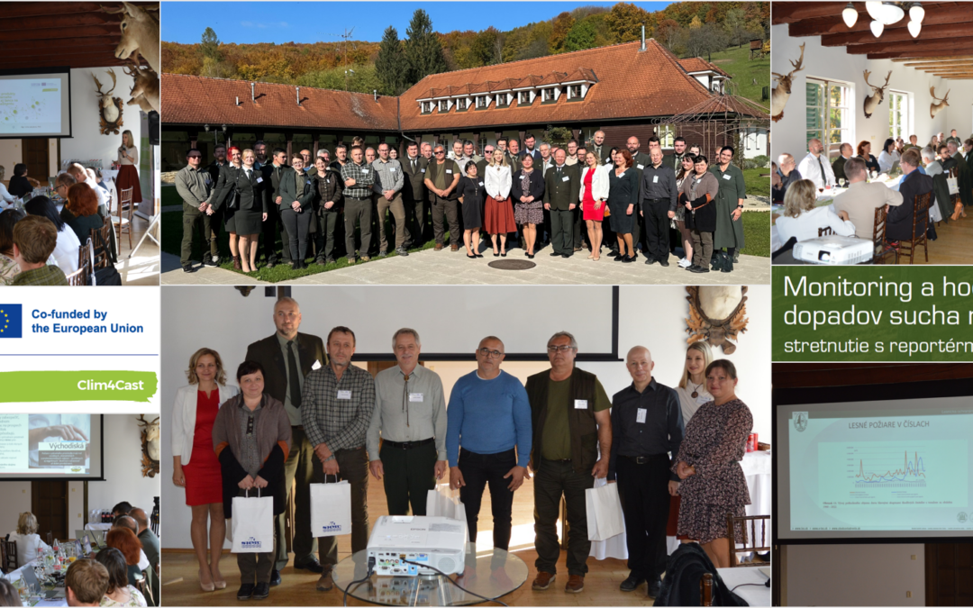 Expert consultation dedicated to wildfire management in Slovakia