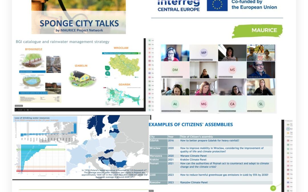 Recap of the Inaugural Sponge City Talks Meeting: Sustainable Rainwater Management in Central Europe