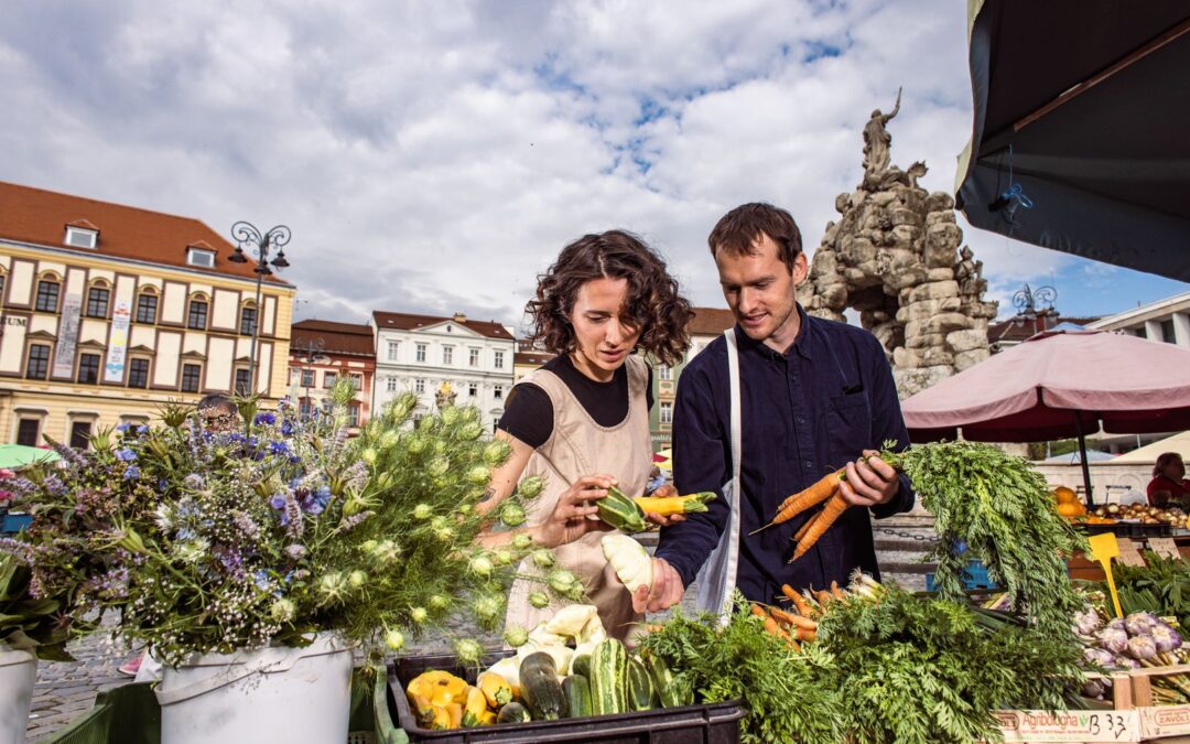 Potential for food cooperation and its governance network in the Brno Metropolitan Area