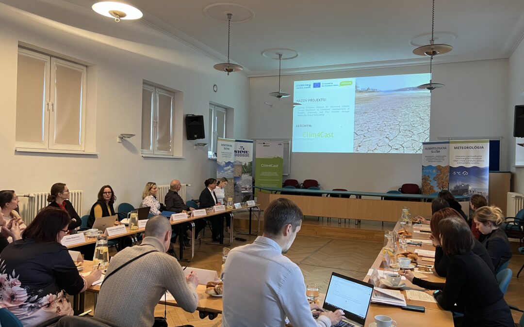 Stakeholders consultation related to heatwaves management in Slovakia