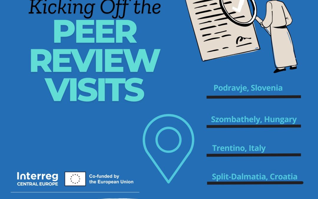 Peer Review Visits